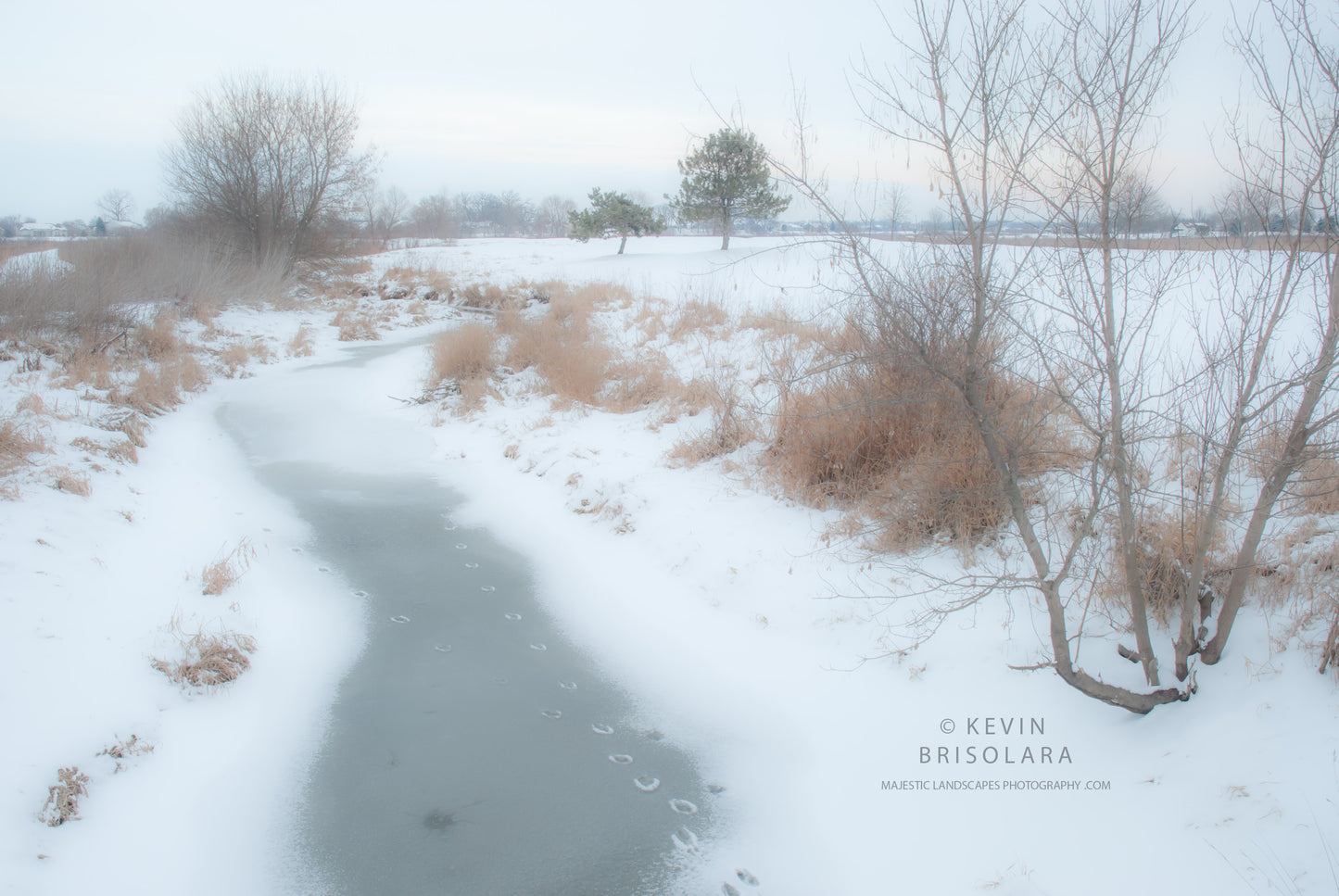 THE SOUND OF SILENCE ON THIS WINTER DAY