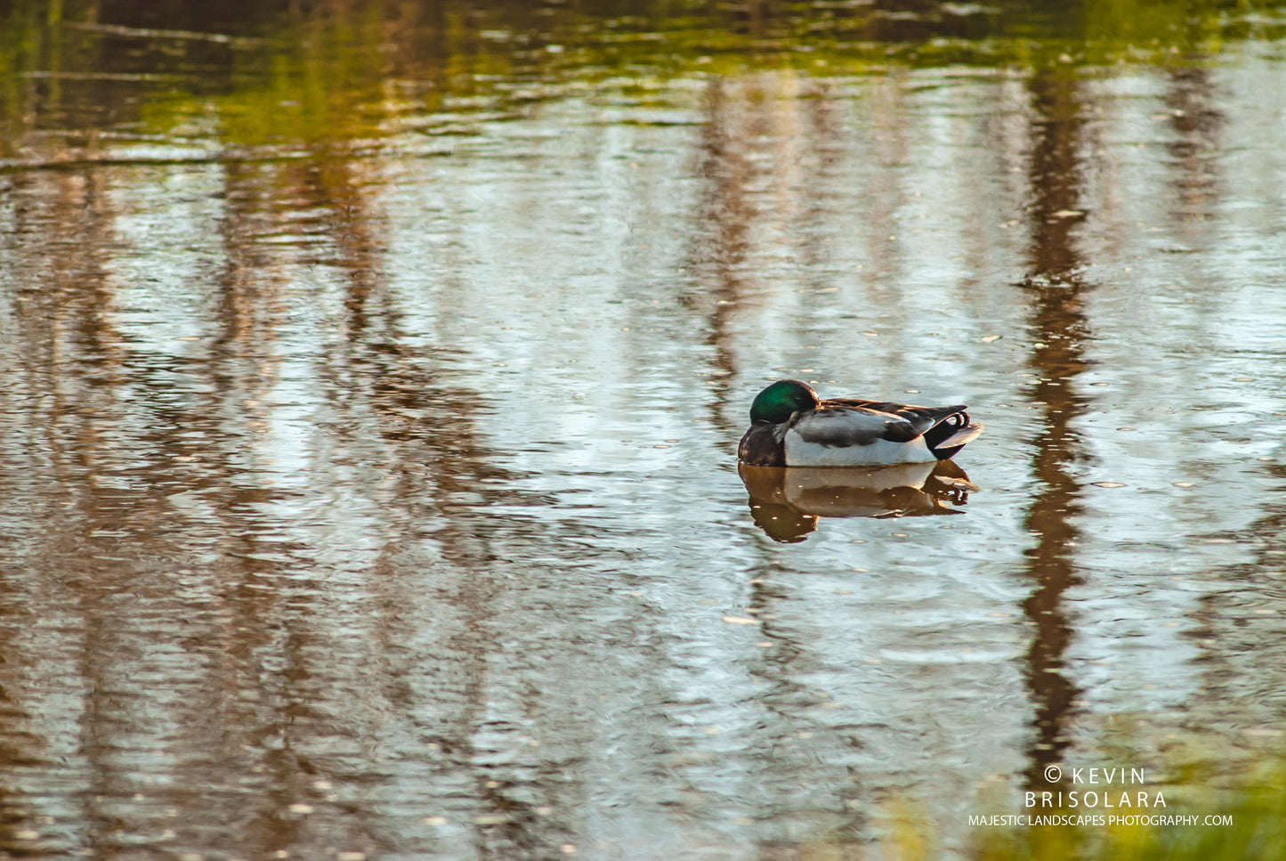 A MOMENT OF REST