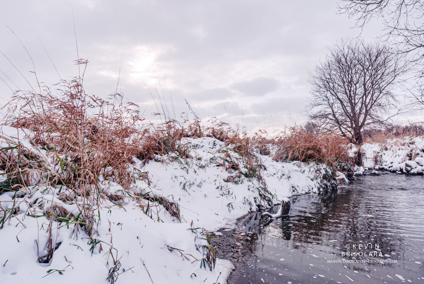 THE PRAIRIE OF SNOW AND CREEKS
