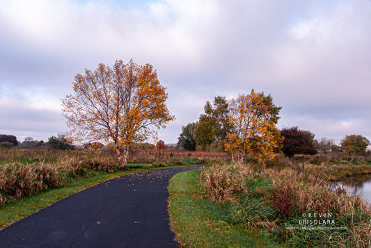 WALKING AMONGST THE COLOR OF AUTUMN