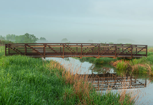 REFLECTIONS FROM A SPRING MORNING