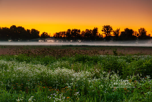 A SUMMER MORNING FULL OF COLOR