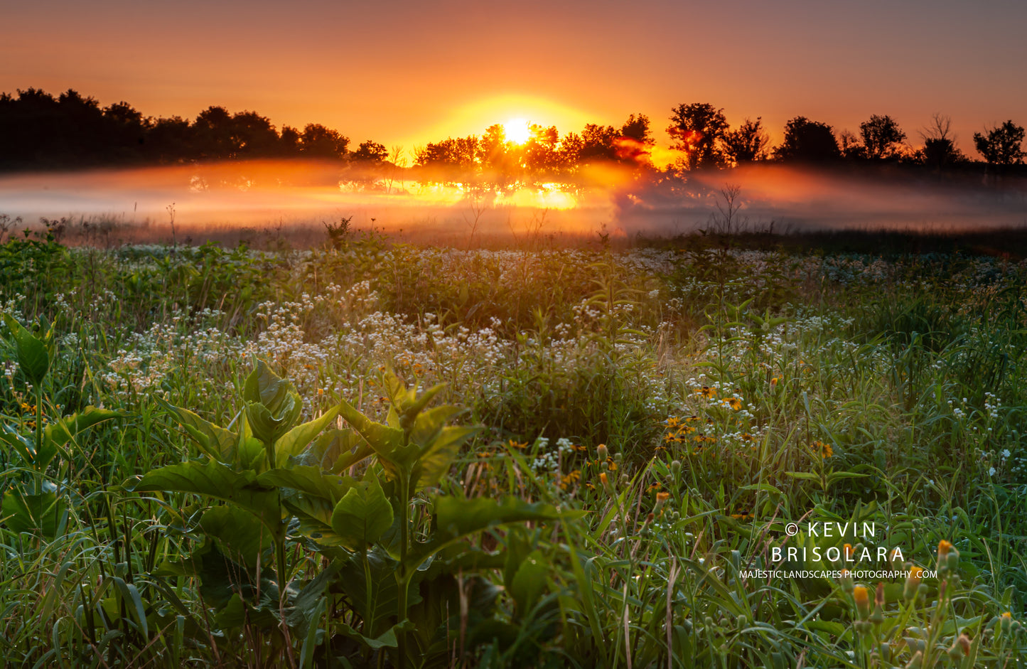 A MAJESTIC MISTY SUMMER SUNRISE FROM THE PRAIRIE