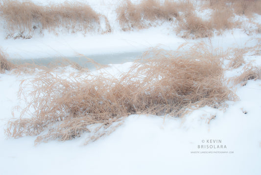 COLD DAYS OF WINTER