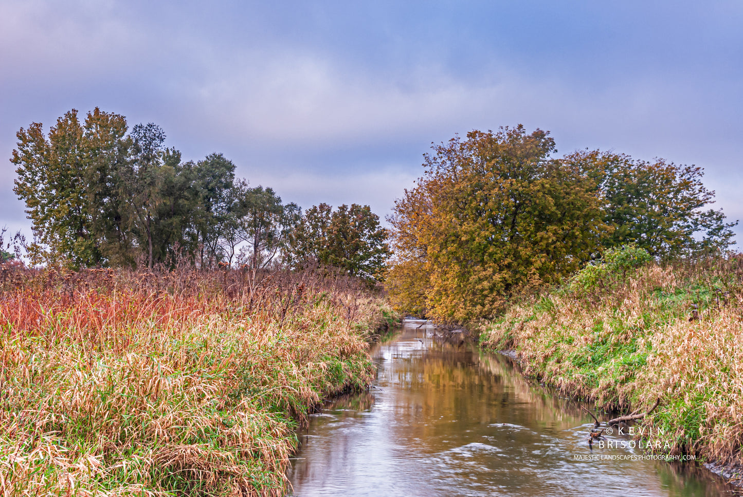 REFLECTIONS FROM THE RIVER