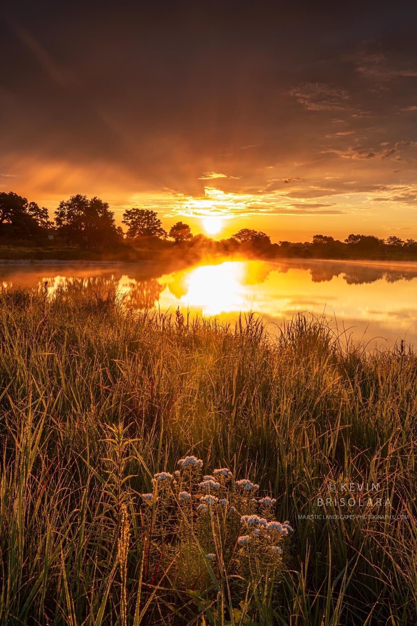 A GOLDEN MORNING