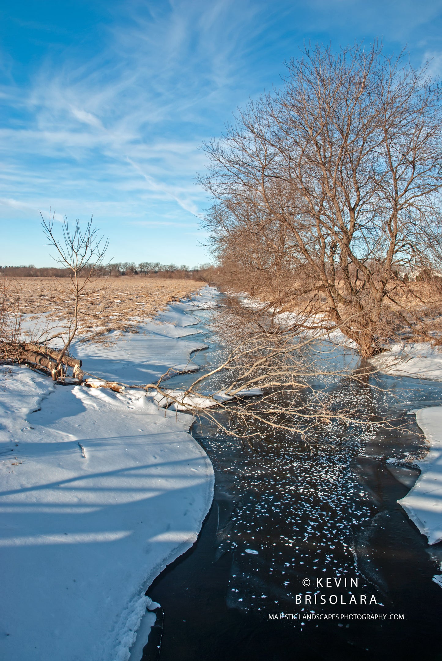 A MAJESTIC VIEW ALONG THE CREEK