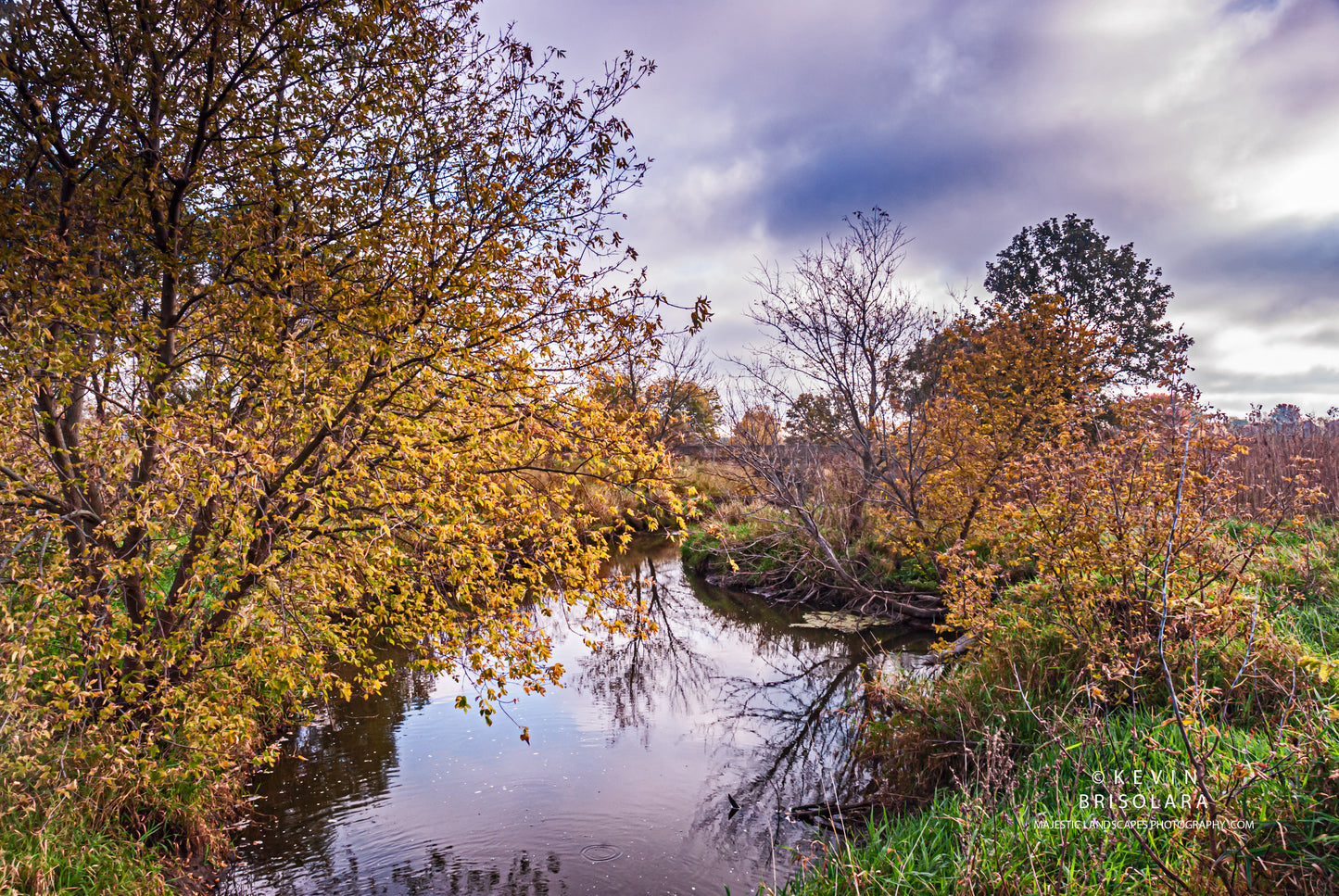 AUTUMNS COLORFUL BEAUTY ALONG THE RIVER