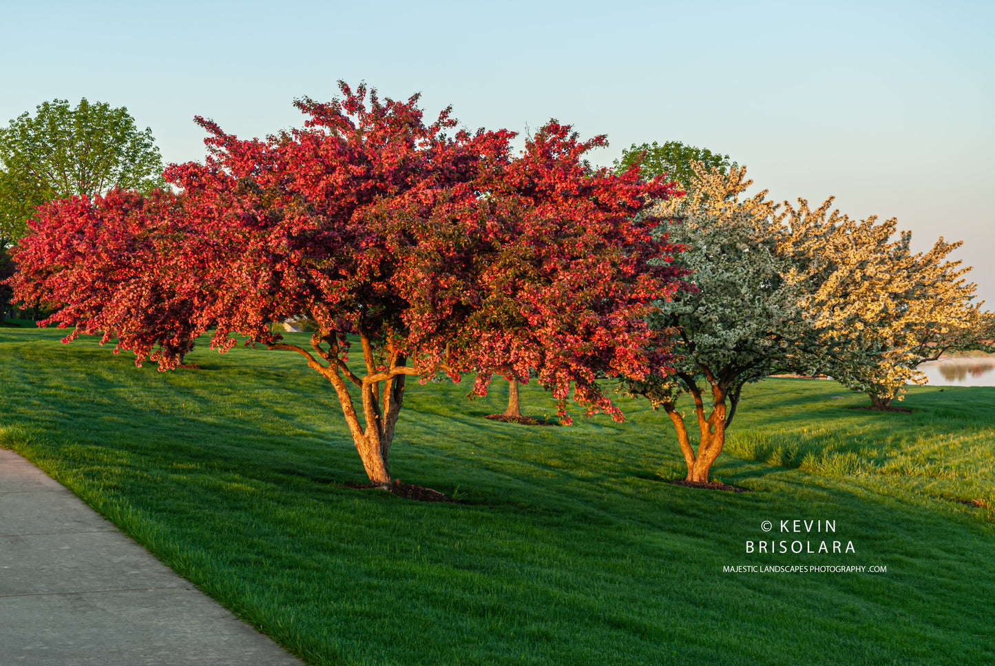 AN EARLY MORNING WALK THROUGH THE PARK