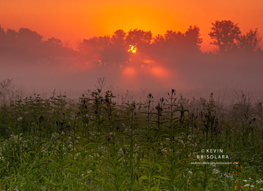 A MISTY SUMMER SUNRISE