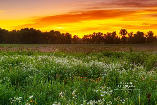 PRAIRIE COLORS DURING A SUMMER SUNRISE