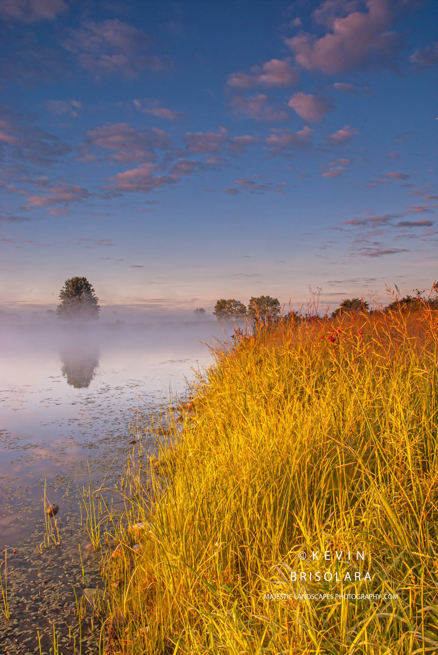 THE GOLDEN GRASSES AT WILDFLOWER LAKE