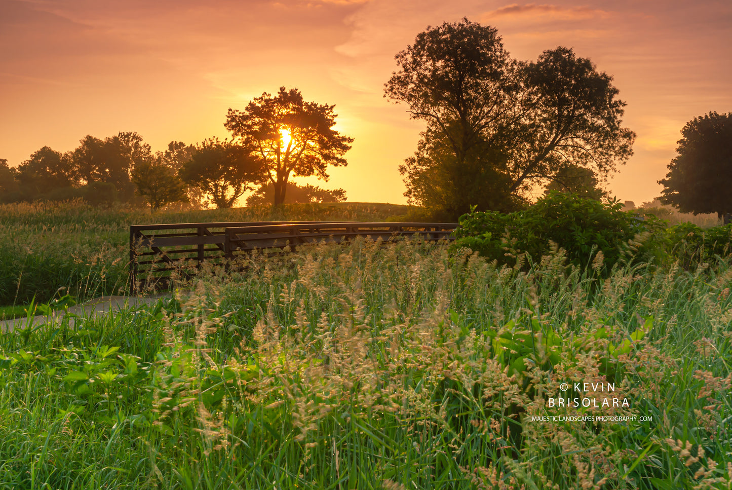 LAST VIEW OF A SPRING SUNRISE