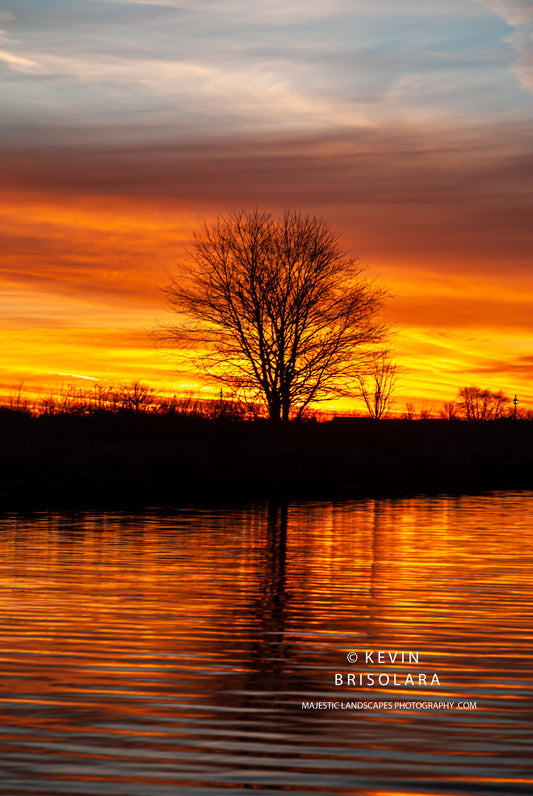 A MAJESTIC APRIL SUNRISE AT WILDFLOWER LAKE