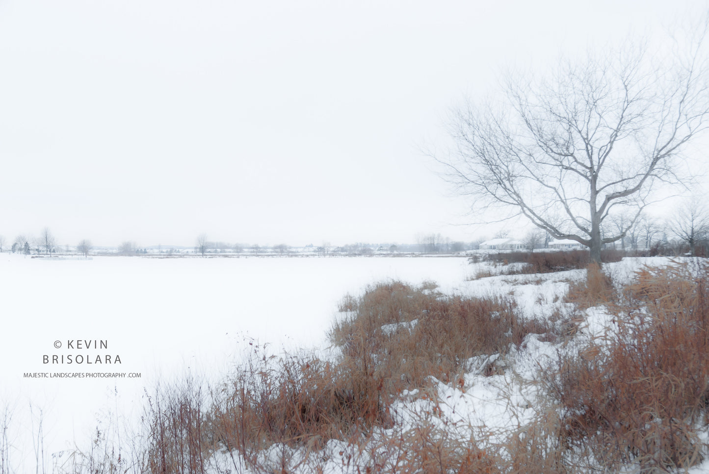 A FROZEN WILDFLOWER LAKE