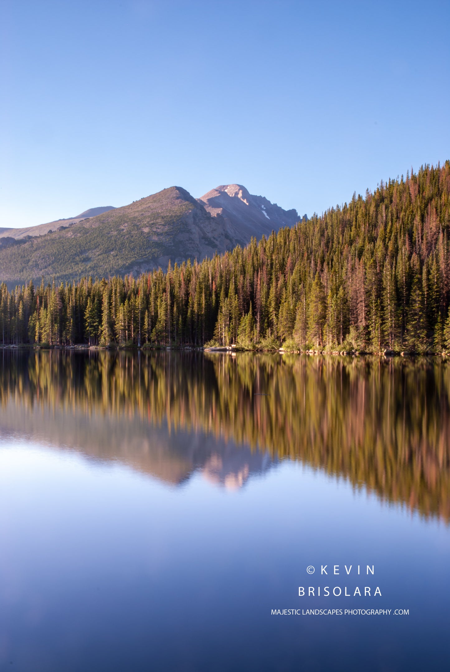 BEAUTIFUL REFLECTIONS FROM THE PARK