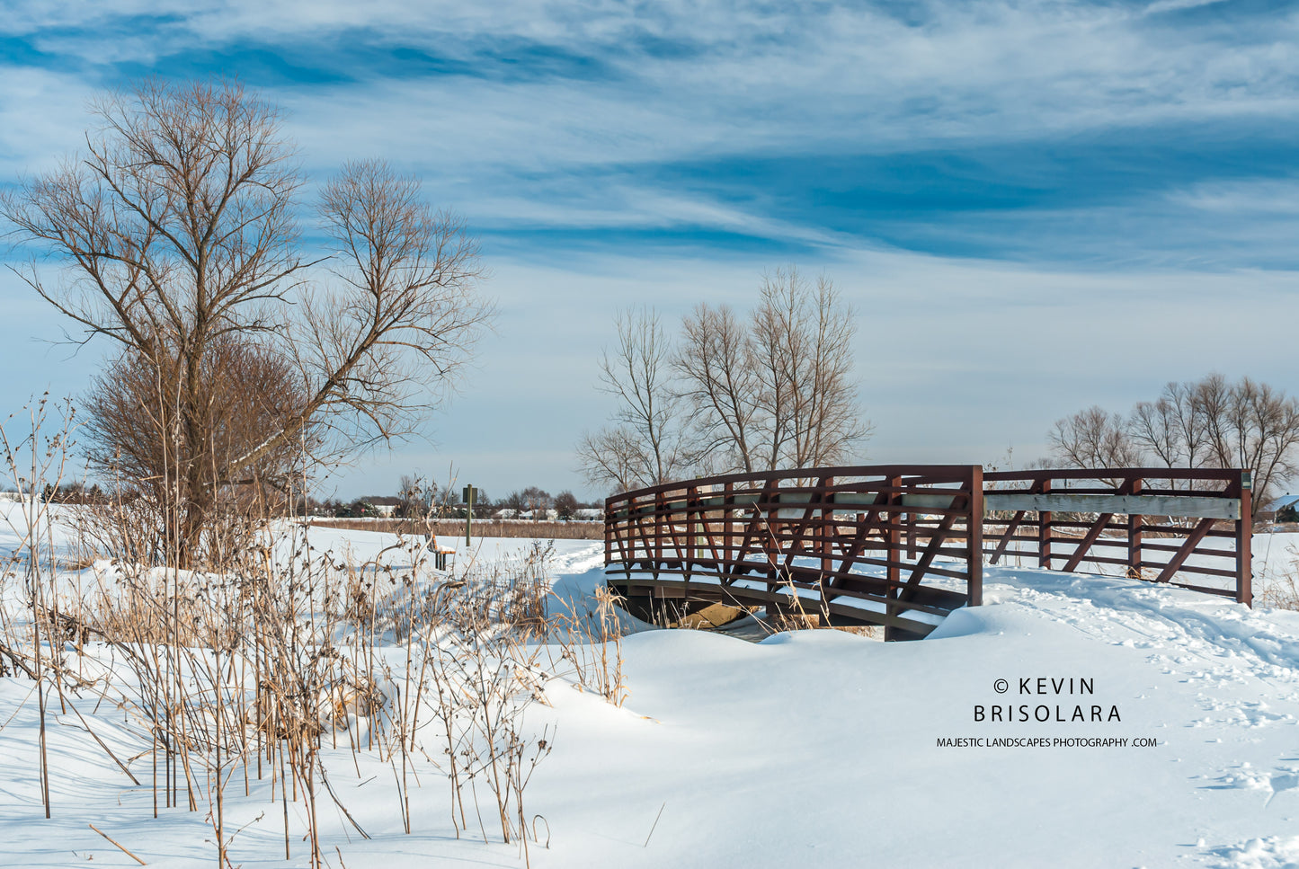 A BEAUTIFUL AFTERNOON FOR SNOWSHOEING