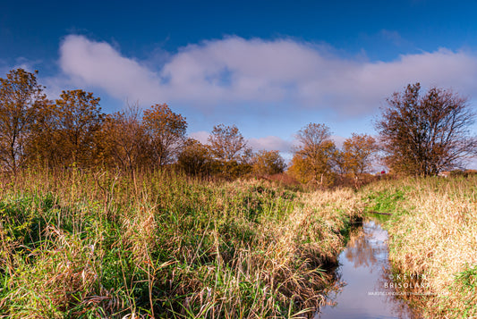 AUTUMN ALONG EAKIN CREEK WEST