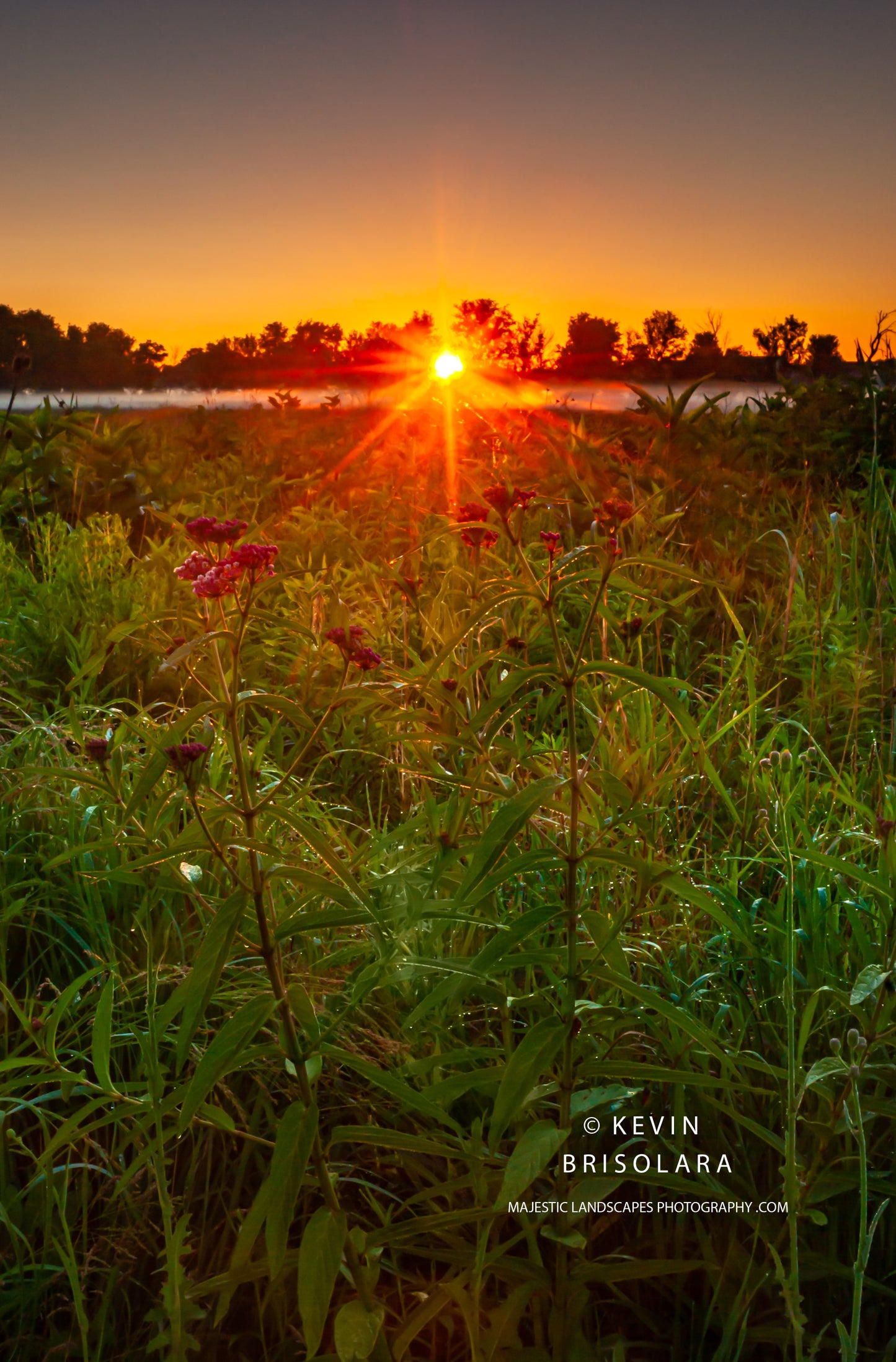 A GLORIOUS SUNRISE FROM THE PARK