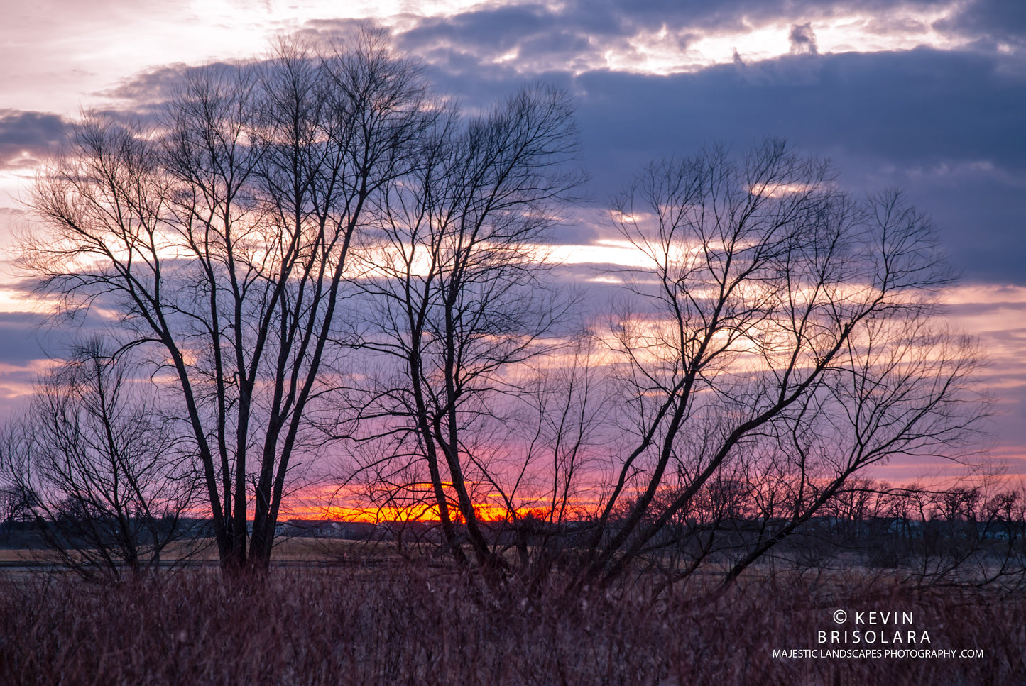 NOTE CARDS 560_127  SUNSET, PEACHLEAF WILLOW TREES