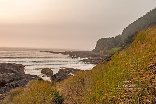 THE OREGON CENTRAL COAST