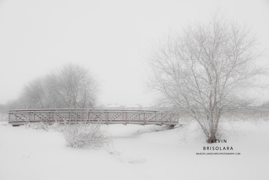 A WINTERS TALE FROM THE PARK