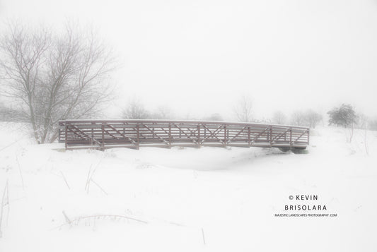 FINDING PEACE AND BEAUTY IN A MAJESTIC WINTER SCENE