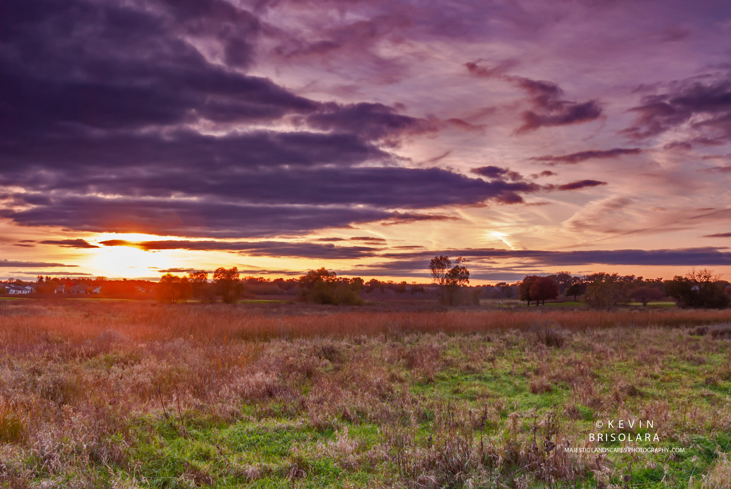 SUNSET AT WILDFLOWER PARK