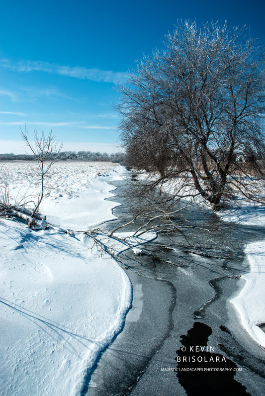 BECOMING FROZEN IN TIME