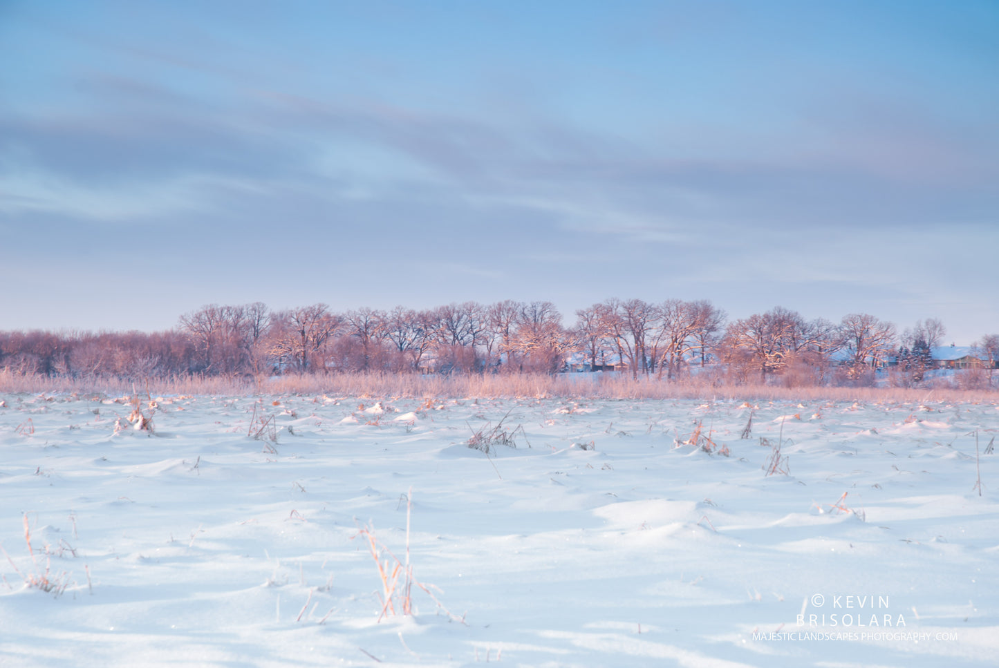 ILLUMINATING THE PRAIRIE