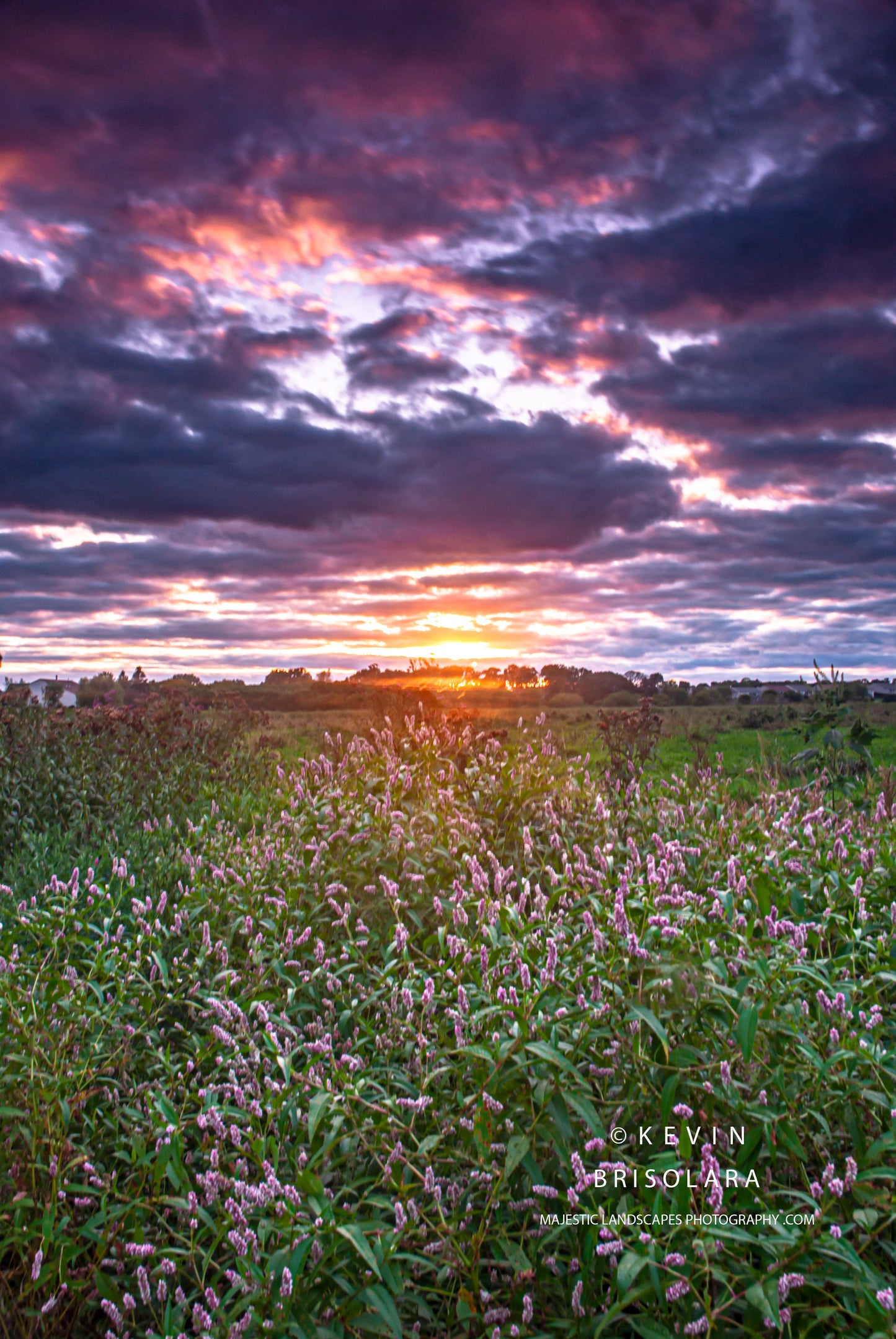 A MAJESTIC SUNSET AT WILDFLOWER PARK