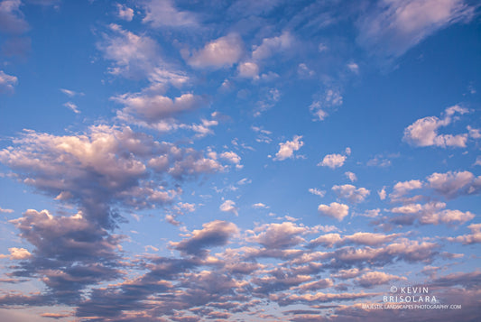 A MORNING VIEW FROM THE RIVER