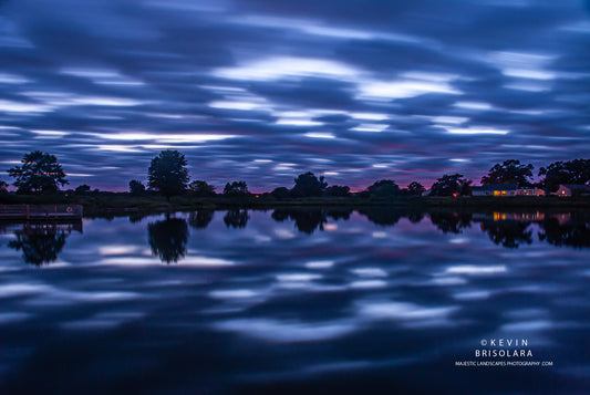 DISCO NIGHT AT WILDFLOWER LAKE