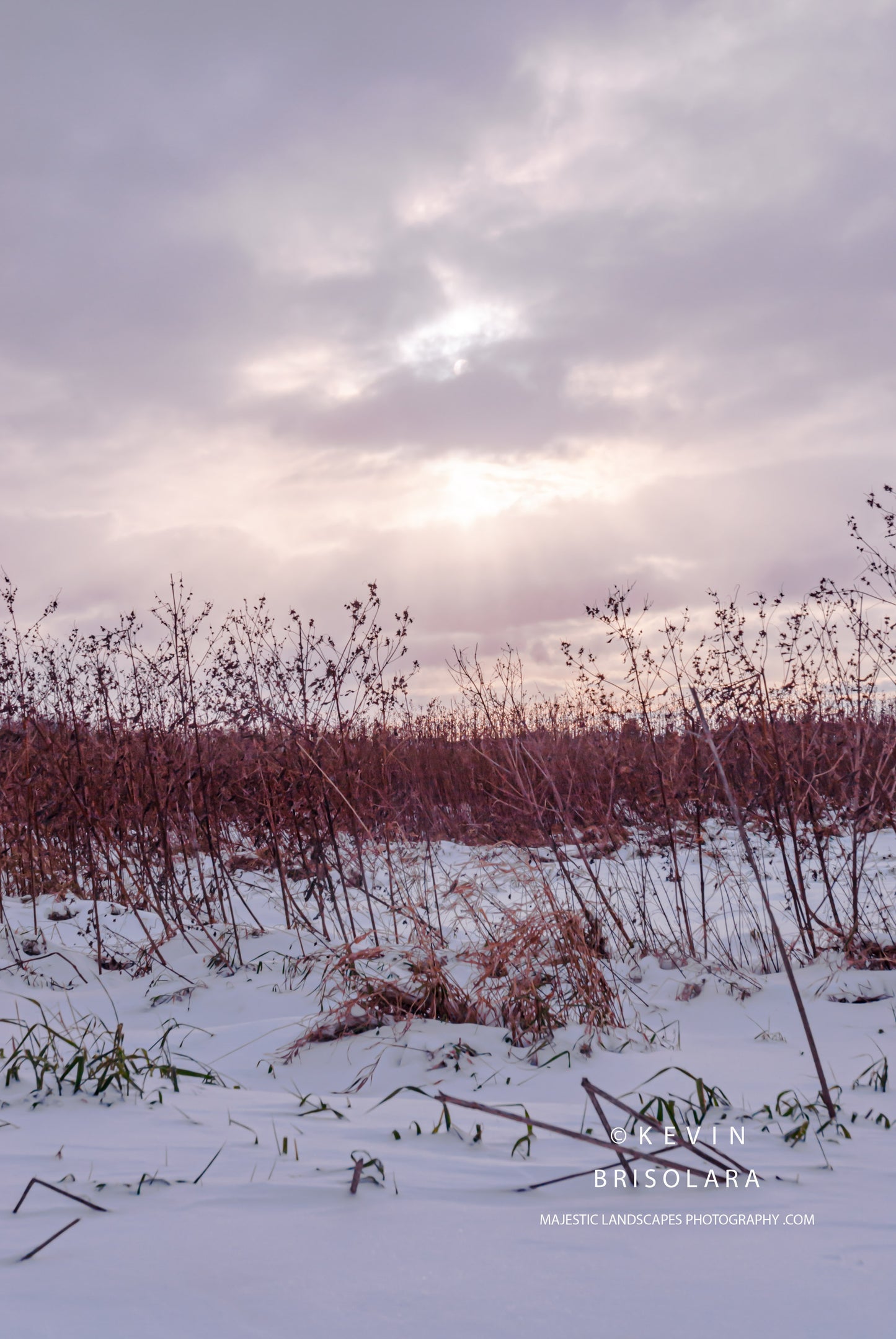 OPENING UP TO THE PRAIRIE