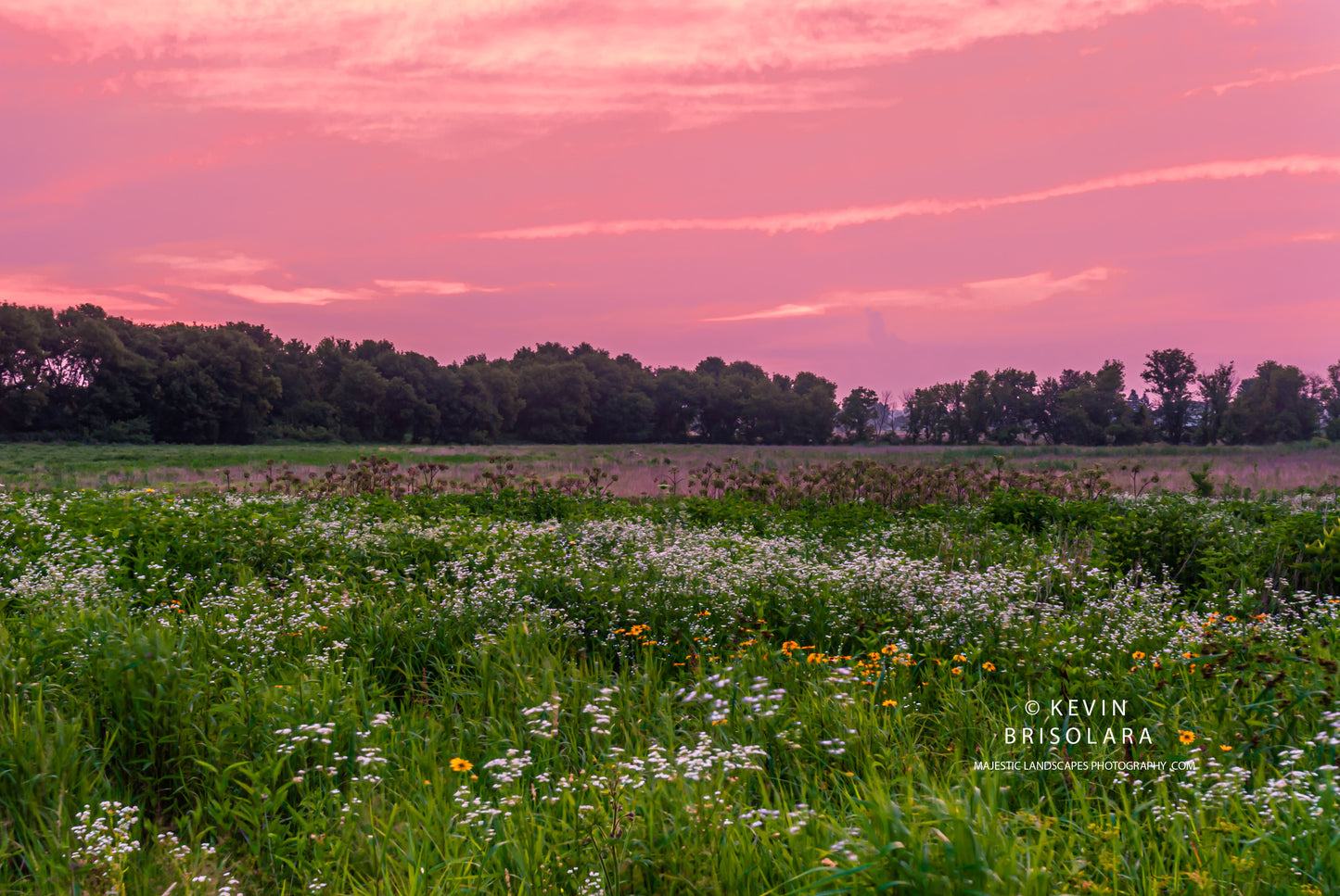 A QUIET AND PEACEFUL SUNRISE IN THE PARK