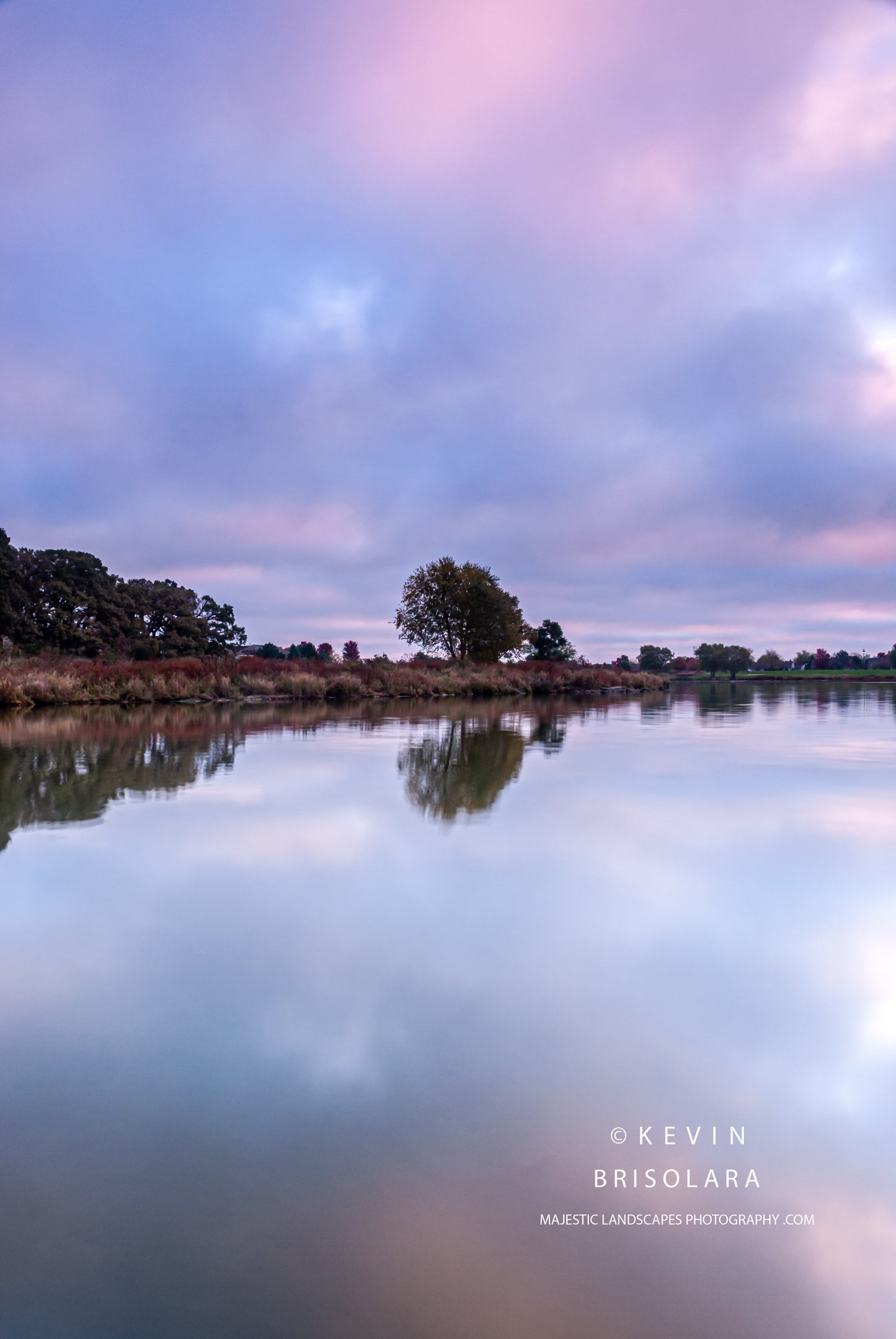 A QUIET MORNING IN THE PARK