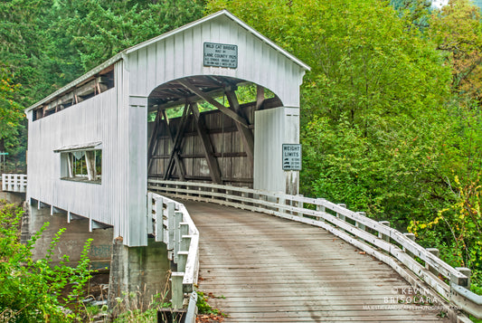 NOTE CARDS 227_106  WILDCAT COVERED BRIDGE