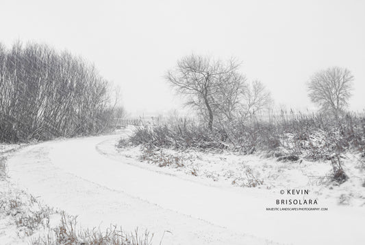 A BEAUTIFUL WINTER SCENE ON THIS WETLAND PRAIRIE LANDSCAPE