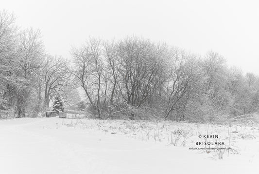 A BEAUTIFUL WINTER SCENE IN THE PARK