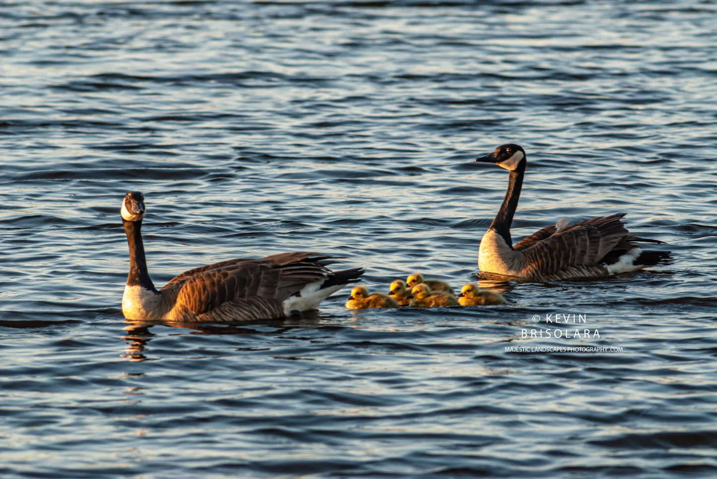 FAMILY FUN AT THE MARSH