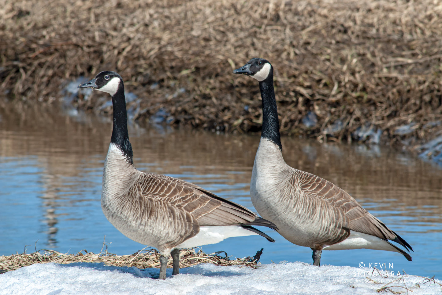 A PEACEFUL MOMENT ALONG THE RIVER