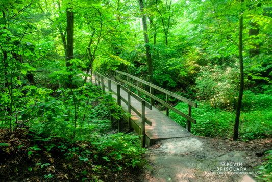 A BEAUTIFUL DAY FOR A HIKE
