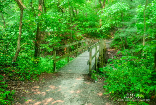 BRIDGE TO THE WATERFALL