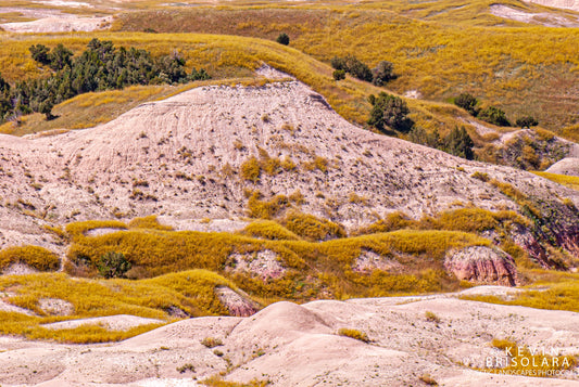 ROLLING HILLS OF THE BADLANDS