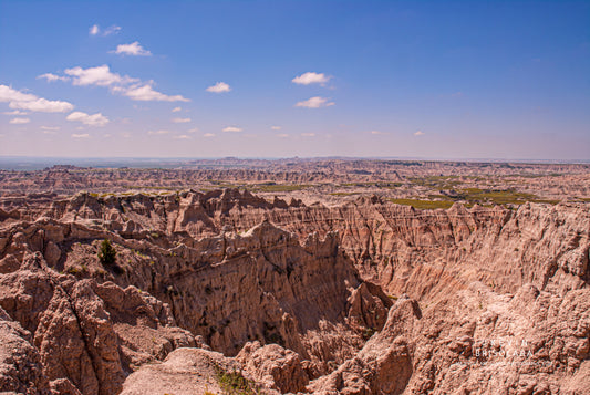 MAJESTIC VIEWS OF THE PARK