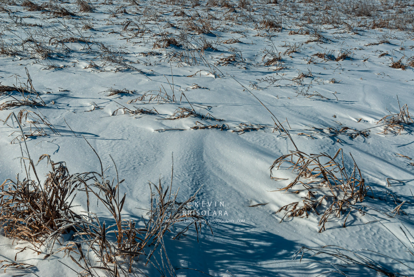 NOTE CARDS 363_563  SNOW, GRASSES, WILDFLOWER PARK