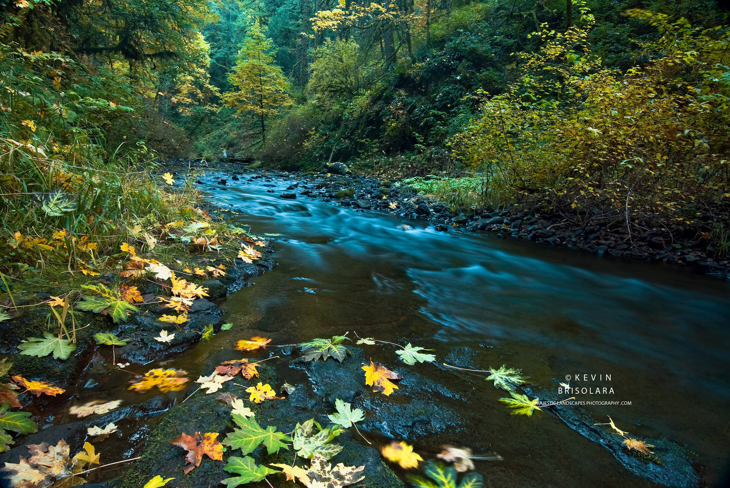 NOTE CARDS 198_13 NORTH FORK SILVER CREEK