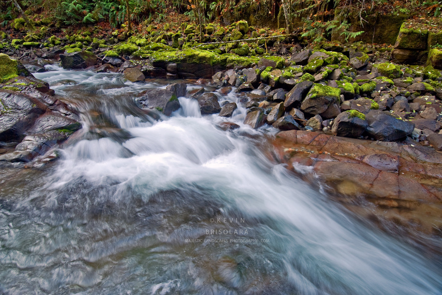 NOTE CARDS 203_50 BRICE CREEK, UNNAMED WATERFALL, UMPQUA NATIONAL FOREST