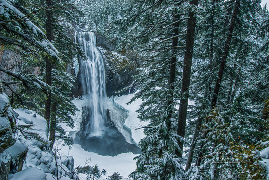 A SPRING SNOWFALL AT SALT CREEK FALLS