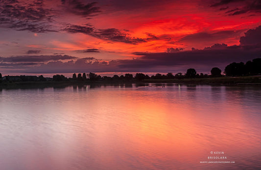 SUMMER SUNRISE IN THE PARK